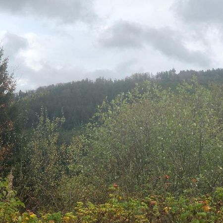 Fewo Berg Idyllika Willingen  Buitenkant foto
