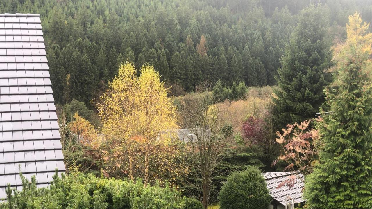 Fewo Berg Idyllika Willingen  Buitenkant foto