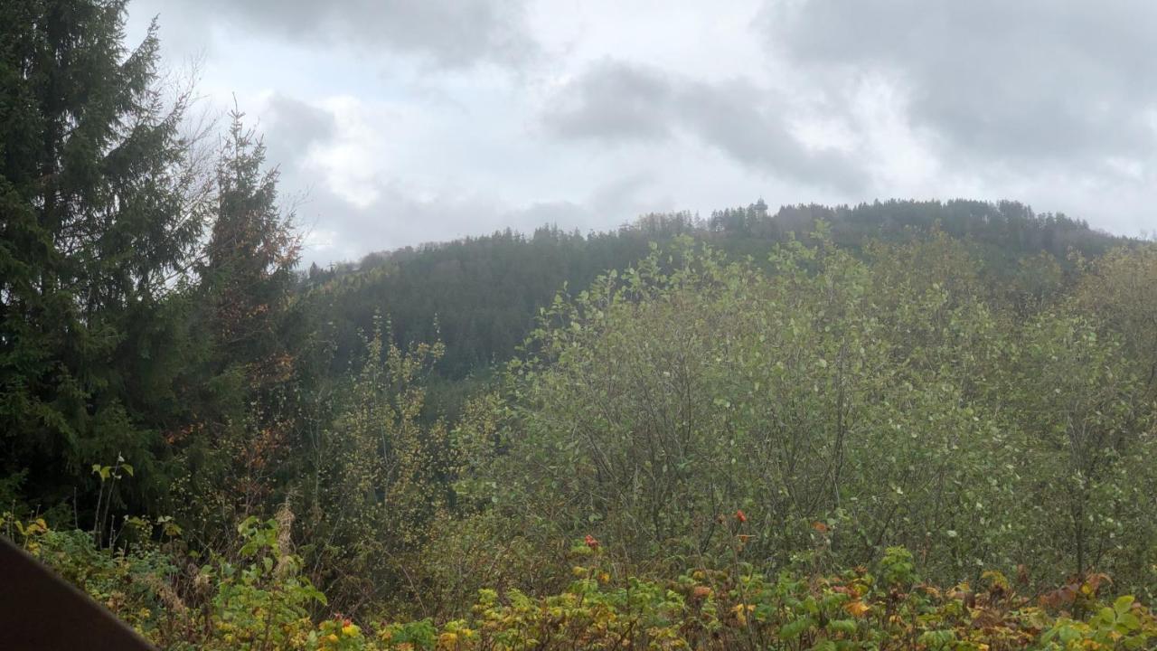 Fewo Berg Idyllika Willingen  Buitenkant foto