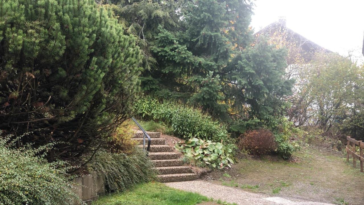 Fewo Berg Idyllika Willingen  Buitenkant foto
