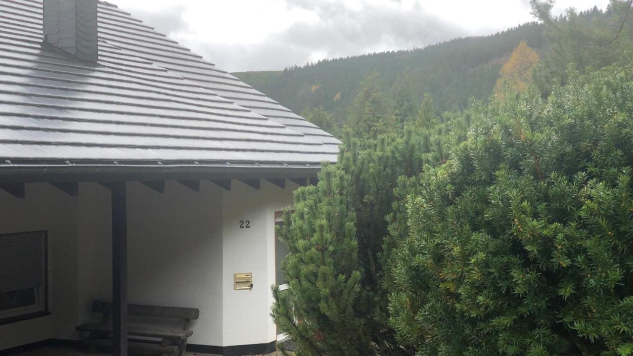 Fewo Berg Idyllika Willingen  Buitenkant foto